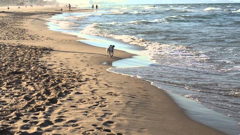 Apartamentos Gandia Playa De L'Ahuir 3000 Kültér fotó